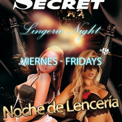NOCHE DE LENCERIA