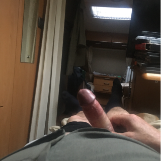 doggy123456